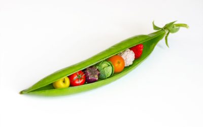 Observation du comportement alimentaire, de la parole et de l’évolution dentaire